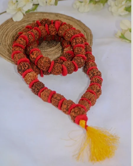 Rudraksha Mala ( 54+1 beads)